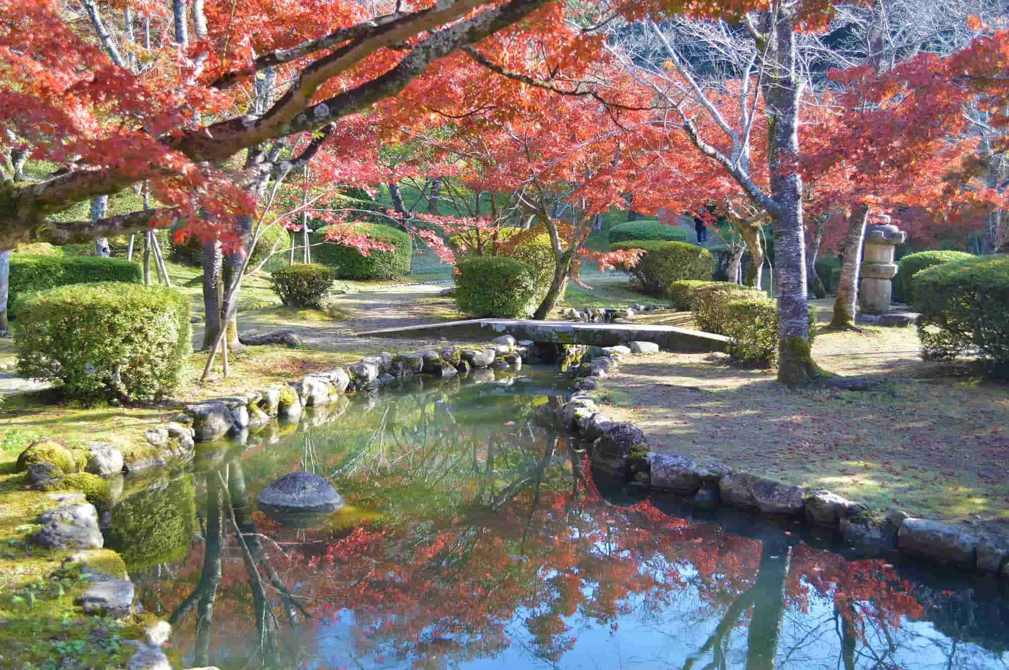 🏞️ 서계 공원(세이케이 코эн) 이미지 9